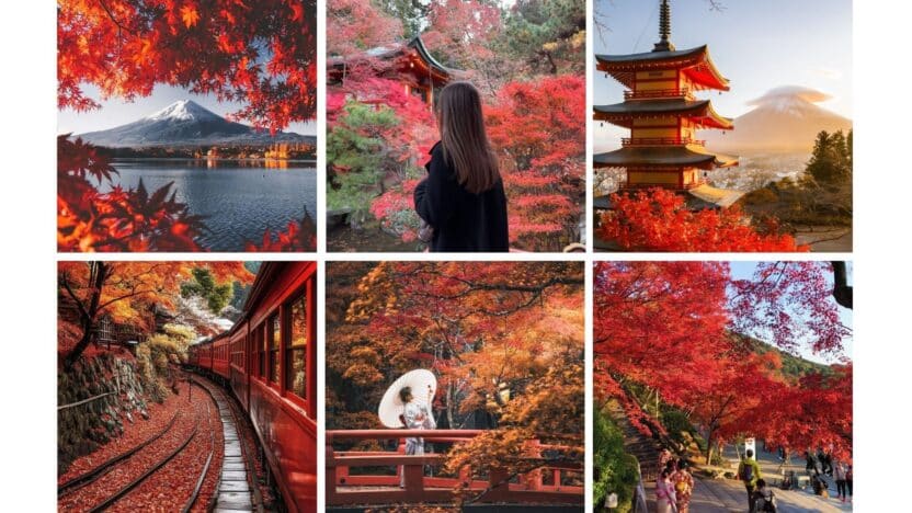 Collage of vibrant autumn scenes in Japan, showcasing colorful foliage, traditional architecture, and serene landscapes.