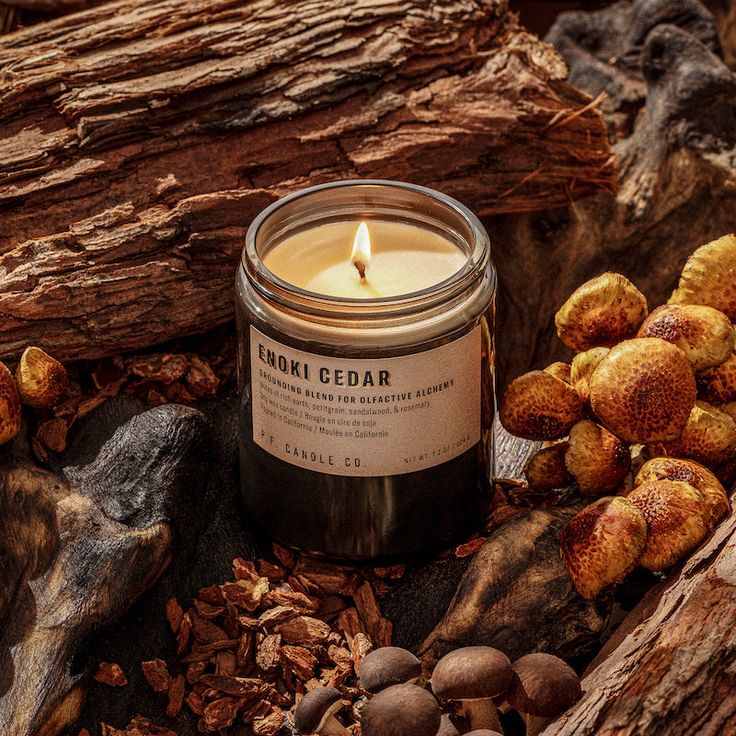 Enoki Cedar candle burns among rustic wood and mushrooms, creating a cozy, natural ambiance perfect for relaxation and aromatherapy.
