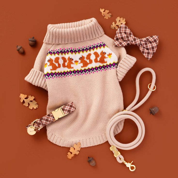 Cozy dog sweater in autumn colors with acorn pattern, plaid bowtie, and matching leash on brown background with leaves.