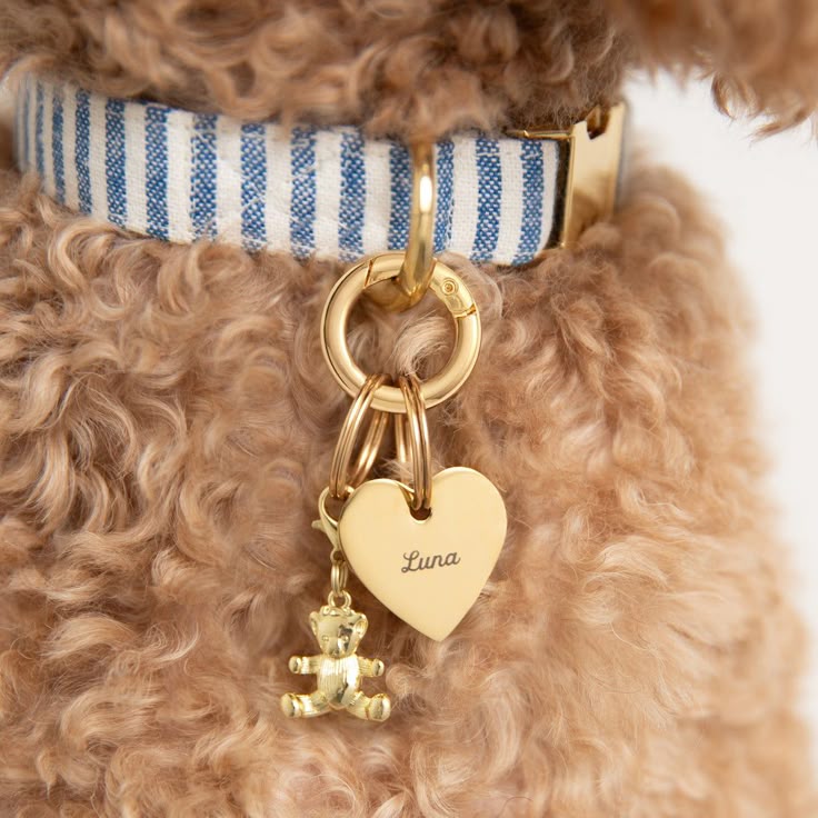 Fluffy dog with striped collar and gold heart-shaped tag reading Luna, adorned with a cute teddy bear charm.