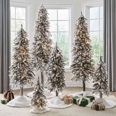 Snow-covered Christmas trees with twinkling lights, surrounded by wrapped gifts, creating a cozy holiday atmosphere indoors.
