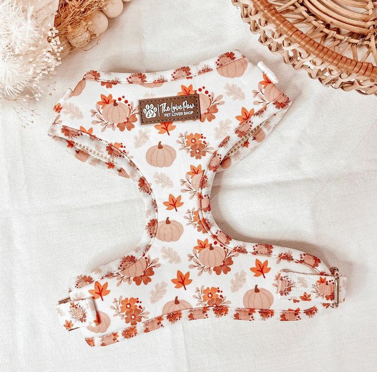 Autumn-themed dog harness with pumpkin and leaf patterns, perfect for pet lovers. Eco-friendly and stylish pet accessory.