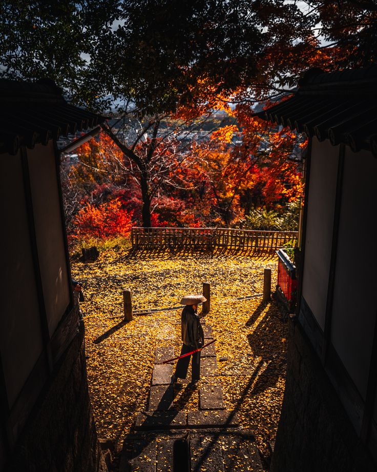 Samurai stands amidst vibrant autumn leaves under a tree, framed by traditional Japanese architecture.