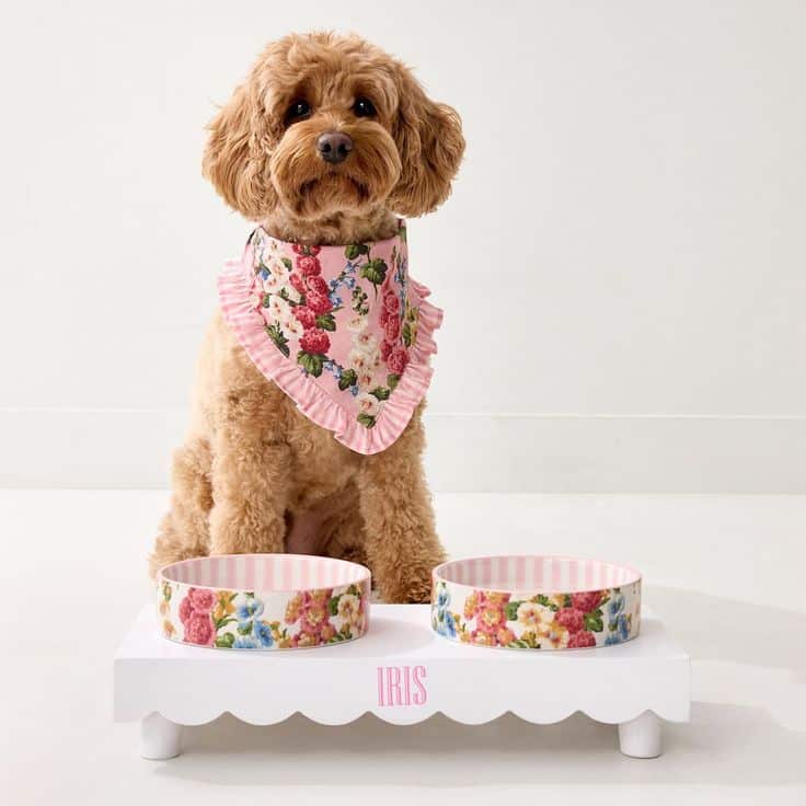 Cute dog wearing floral bandana sits beside decorated feeding bowls on stand.