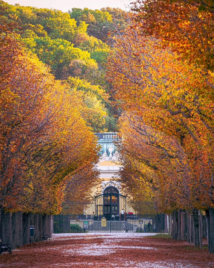 Autumn path lined with vibrant orange trees leading to a grand gated entrance with lush forest in the background.