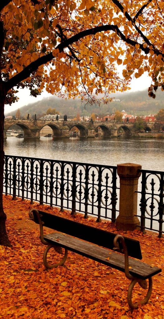 Autumn leaves cover the ground by a riverside bench with a historic stone bridge in the background. Peaceful fall scenery.