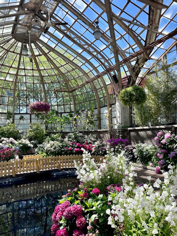 Glass greenhouse filled with vibrant flowers and hanging plants, under a bright blue sky. Peaceful garden scene perfect for relaxation.