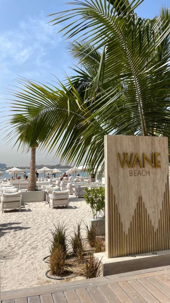 Palm trees and beach chairs under blue sky at Wane Beach, offering a relaxing coastal escape.