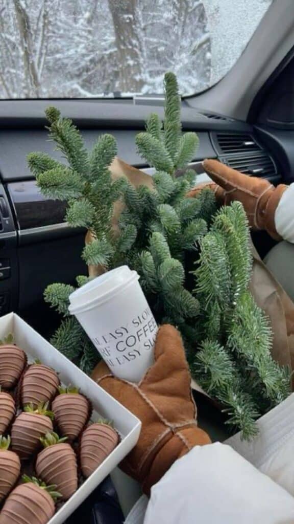 cute aesthetic Christmas day activities - Handy Home Cozy winter car scene with a coffee cup, chocolate strawberries, and pine branches, bringing festive vibes and warmth.