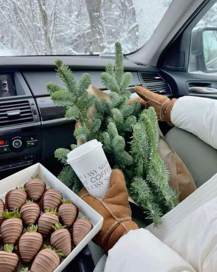 Cozy winter drive: a box of chocolate strawberries, coffee cup, and pine branches in a warm car interior with snowy views.