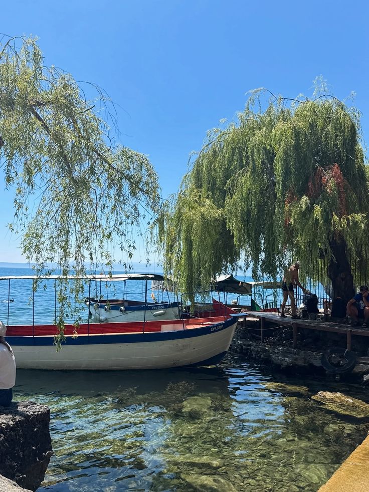 fgbzdg - Handy Home Boat docked by a willow tree on a clear lake with blue skies, capturing serene nature and tranquility by the waterfront.