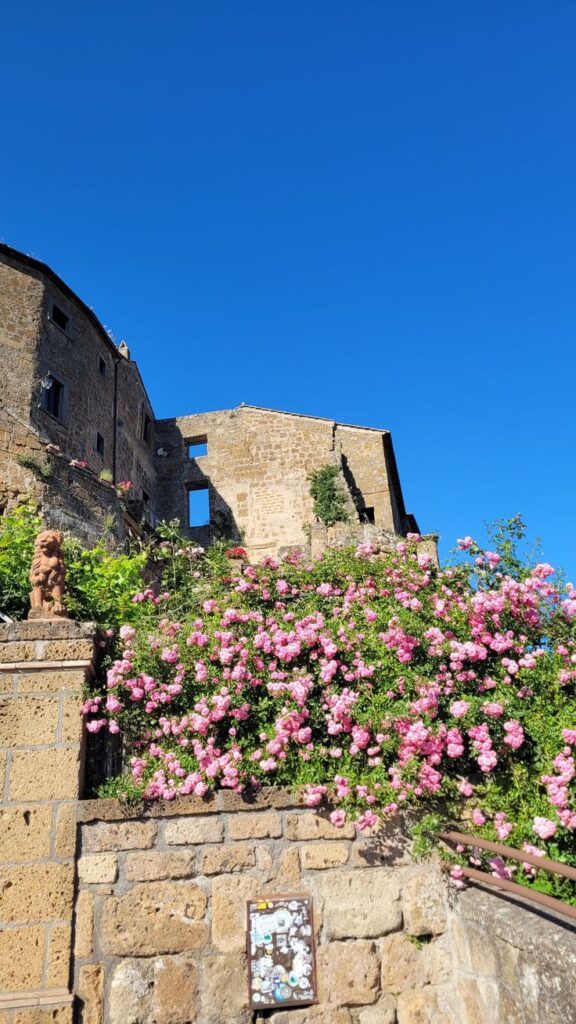 🌸 - Handy Home Stone building with pink flowers and clear blue sky in a scenic Mediterranean village.