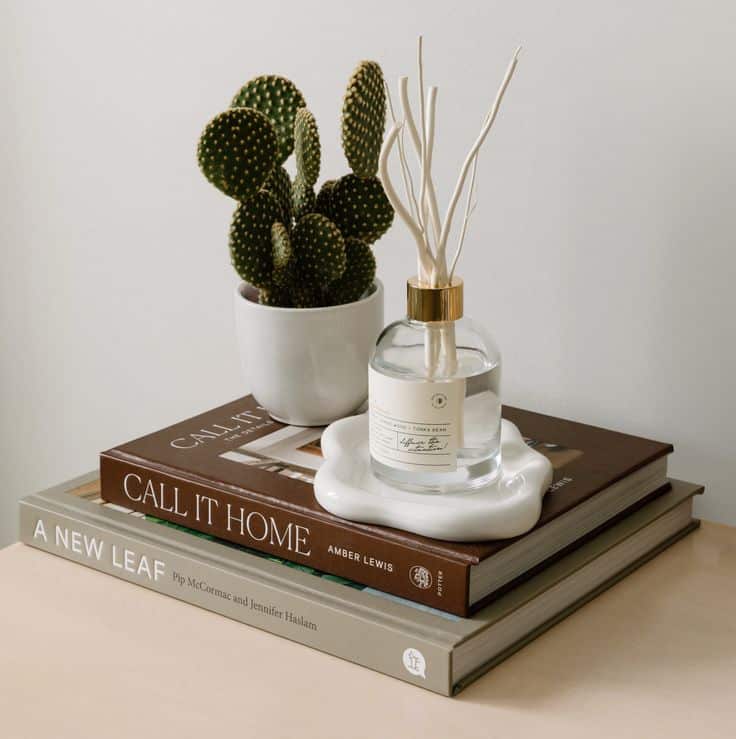 Vanille Santal Reed Diffuser - Brown - Handy Home Cactus in a white pot, reed diffuser, and decor books on a table for stylish home decor inspiration.