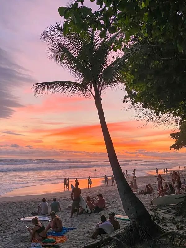 Beachgoers enjoy a vibrant sunset by the ocean, with a silhouetted palm tree in the foreground. Scenic coastal evening.