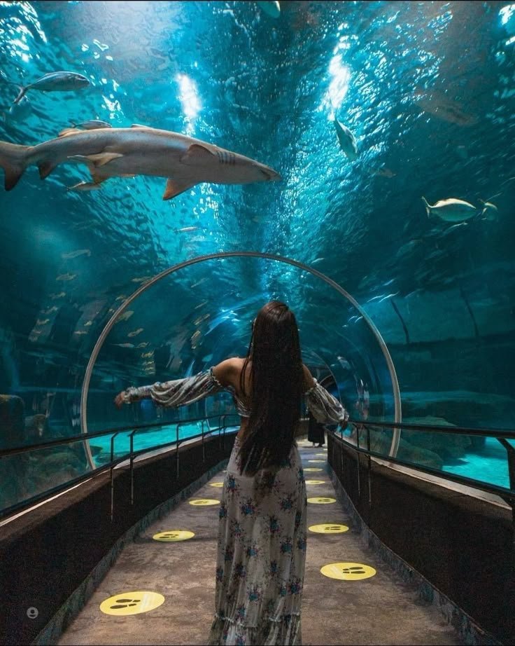 Woman in floral dress walks through an aquarium tunnel. Shark swims overhead in the blue-lit underwater scene, enchanting experience.